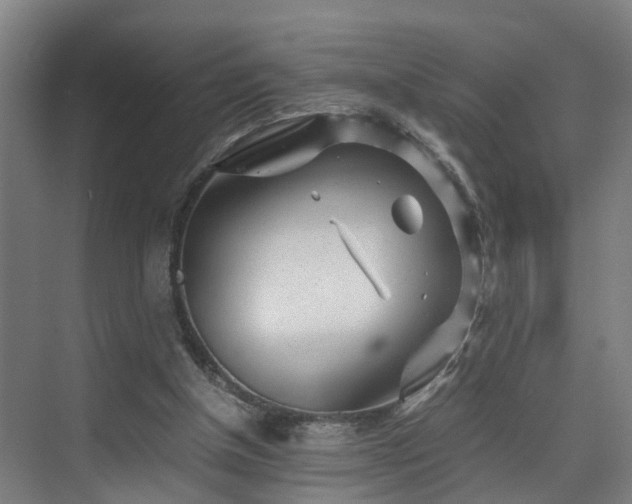 X0000075840154200609151313