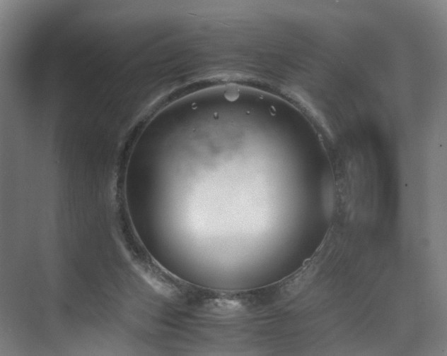 X0000075840159200609151313