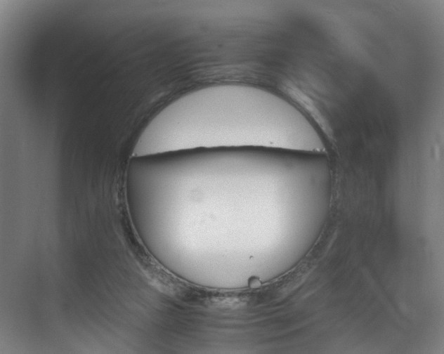 X0000075840161200609151313