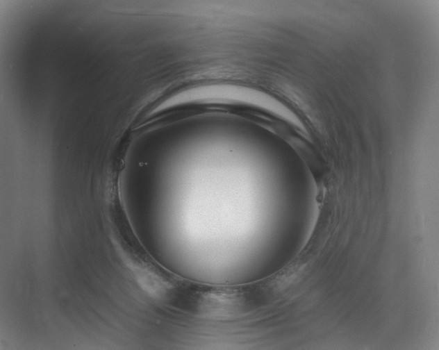 X0000075840164200609151314