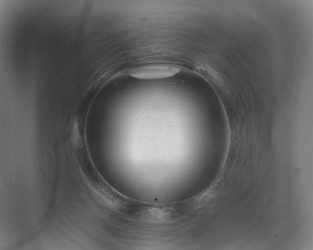 X0000075840166200609151314