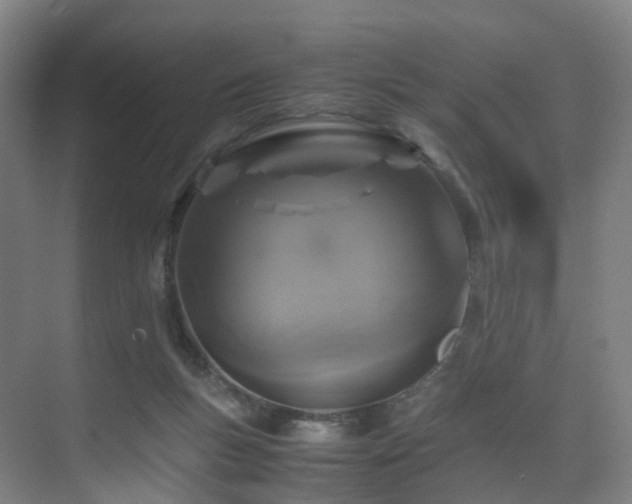 X0000075840167200609151314