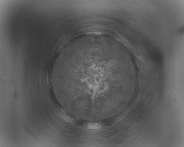 X0000075840169200609151314