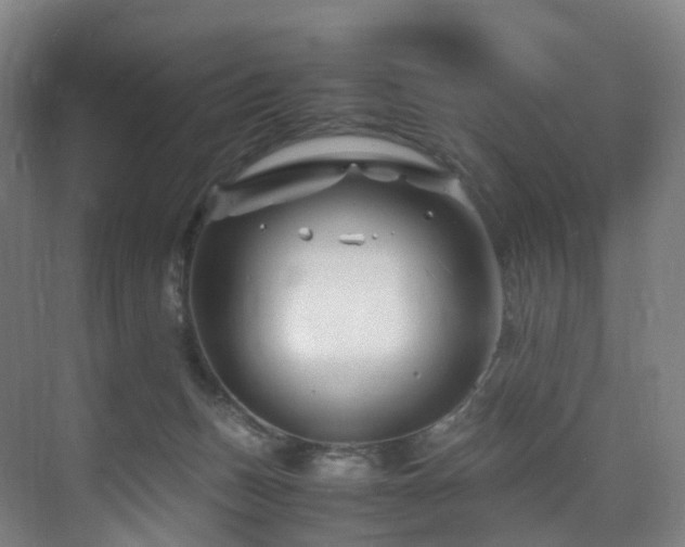 X0000075840175200609151314