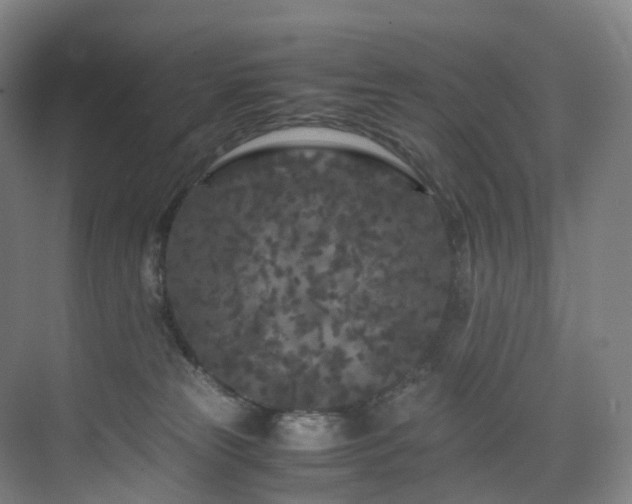 X0000075840181200609151314