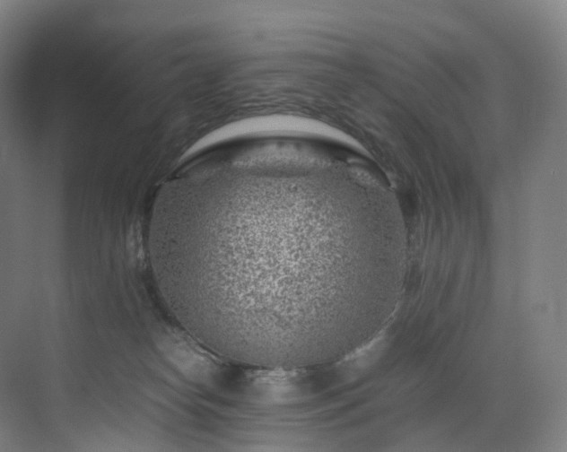 X0000075840182200609151314