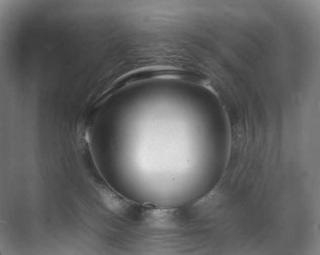 X0000075840184200609151314