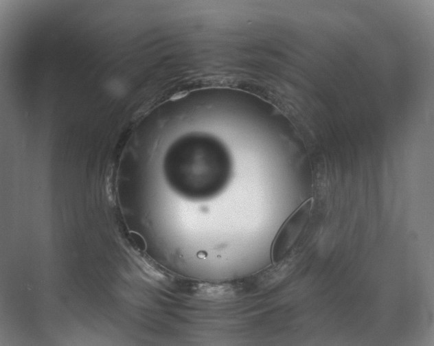 X0000075840185200609151314