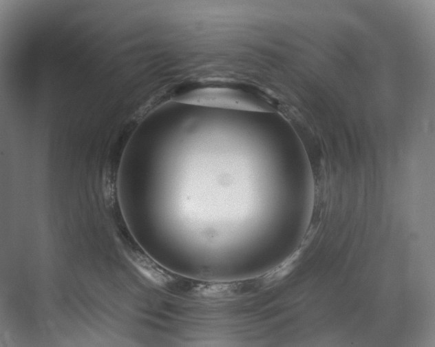 X0000075840186200609151314