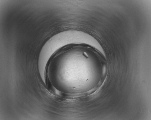 X0000075840190200609151314