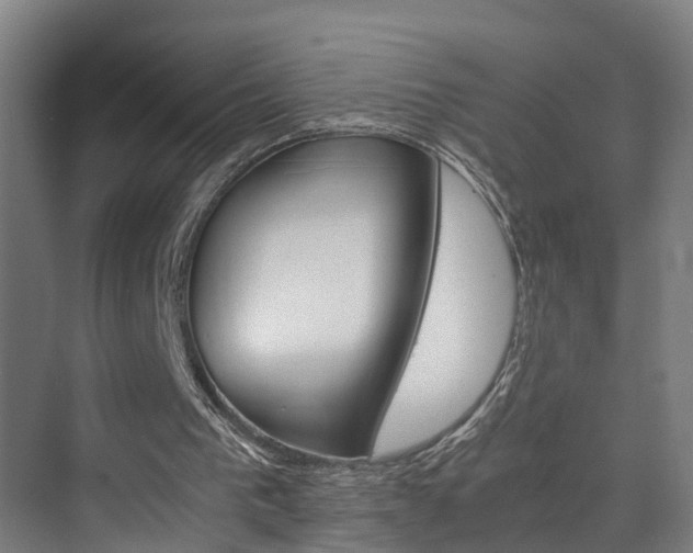 X0000075840193200609151313