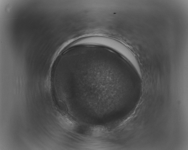 X0000075840200200609151313