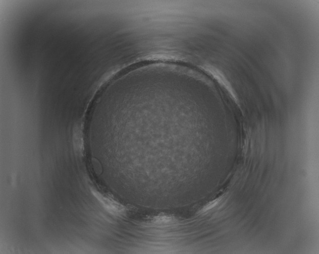 X0000075840204200609151313