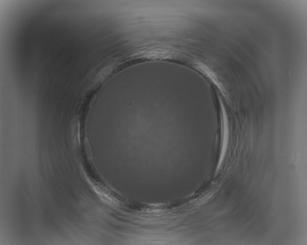 X0000075840205200609151313