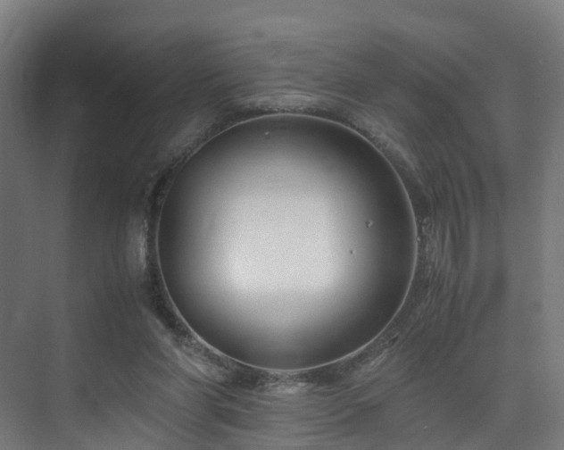 X0000075840206200609151313