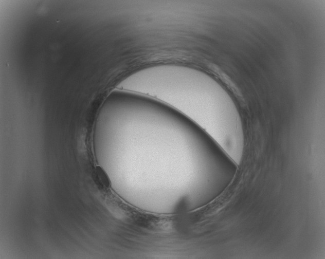 X0000075840209200609151313