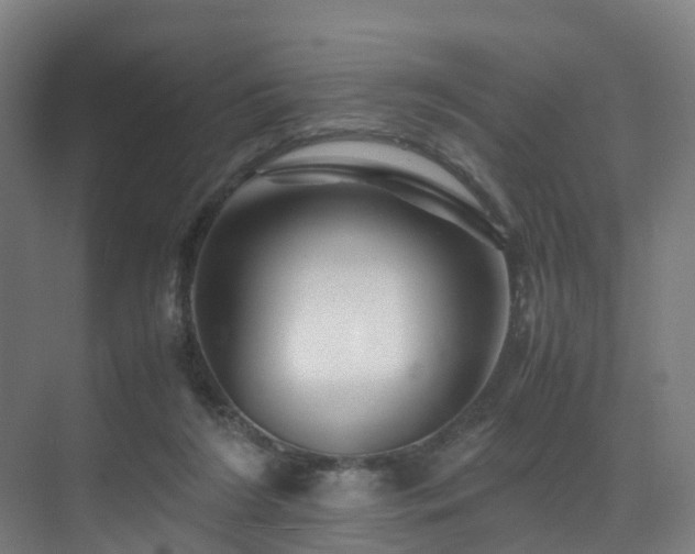 X0000075840212200609151313