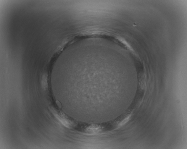 X0000075840213200609151313