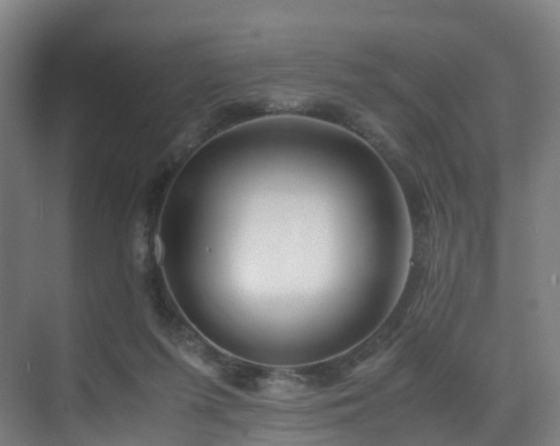 X0000075840215200609151313