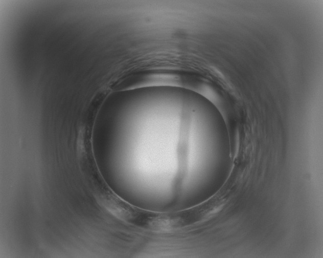 X0000075840217200609151313