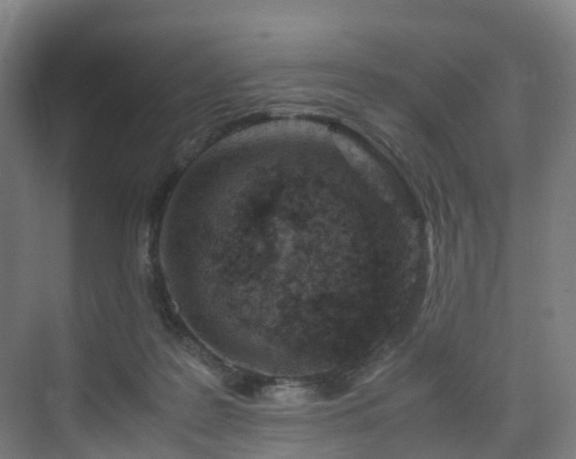 X0000075840219200609151313