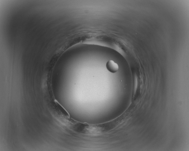 X0000075840221200609151313