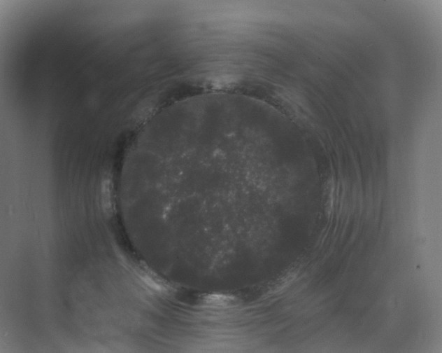 X0000075840222200609151313