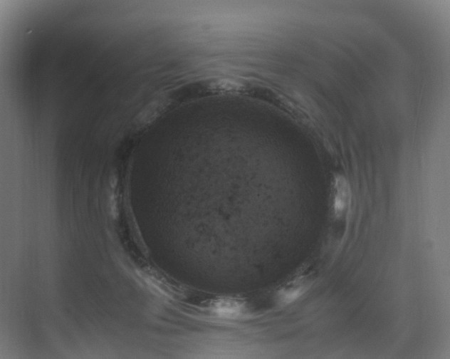 X0000075840223200609151313