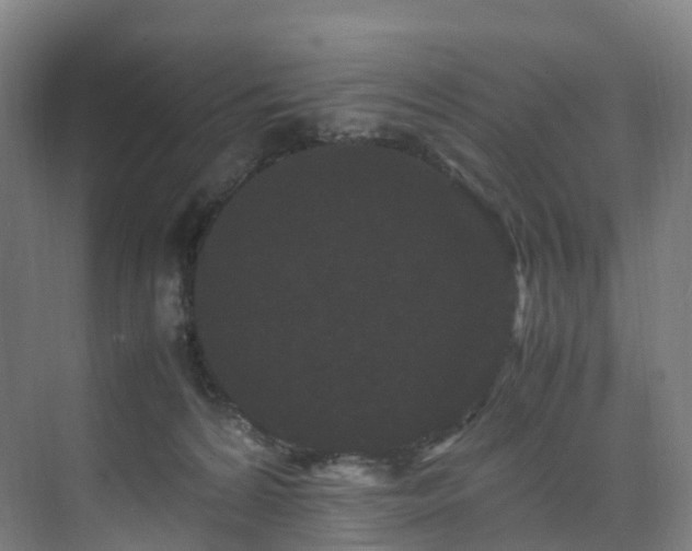 X0000075840224200609151313