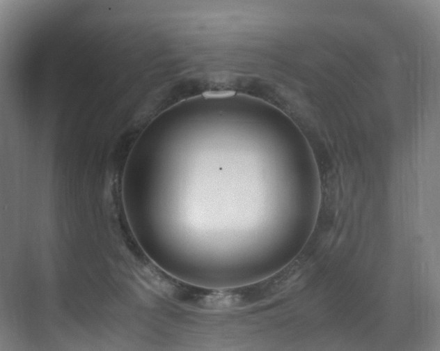 X0000075840225200609151313