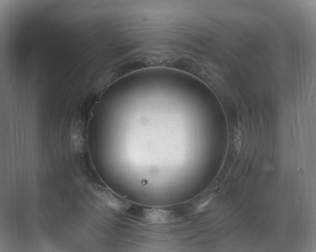 X0000075840226200609151313