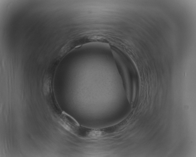 X0000075840227200609151313