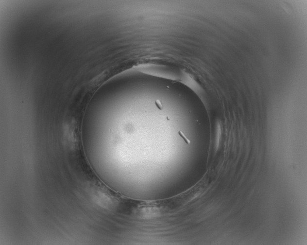 X0000075840228200609151313