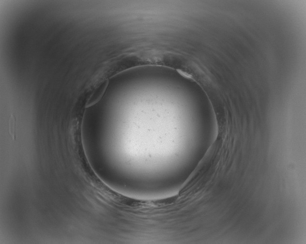 X0000075840229200609151313