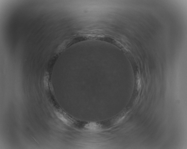 X0000075840231200609151313