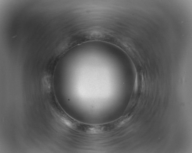 X0000075840232200609151313