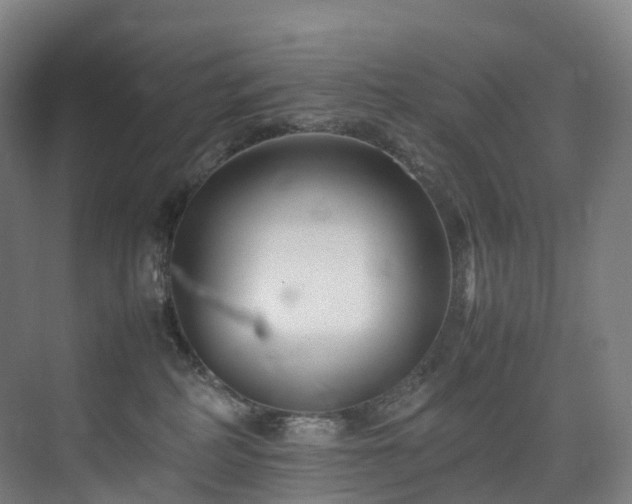 X0000075840234200609151312