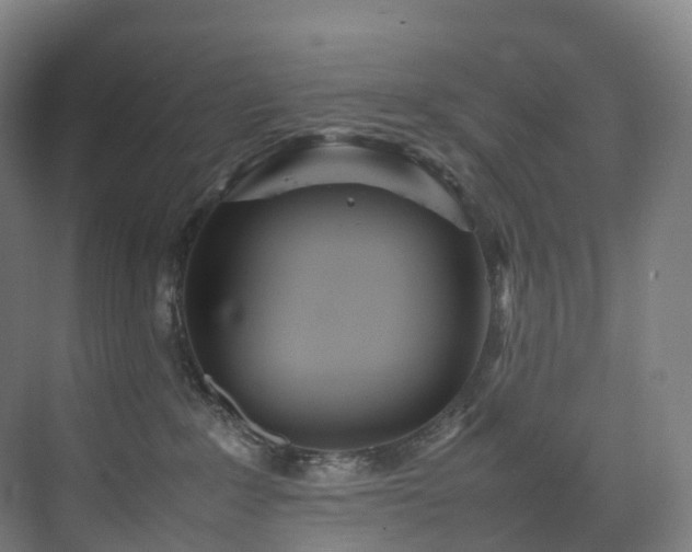 X0000075840235200609151312