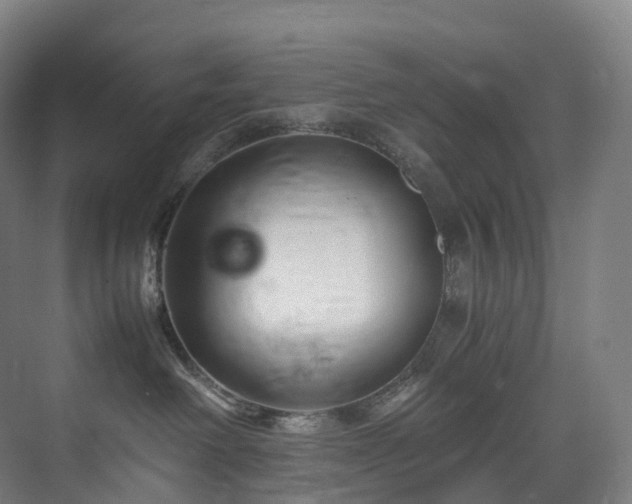 X0000075840238200609151312