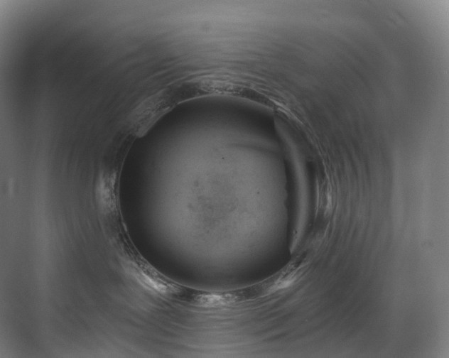 X0000075840239200609151312