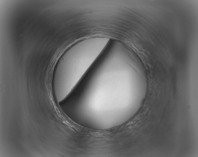 X0000075840241200609151312