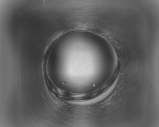 X0000075840244200609151312