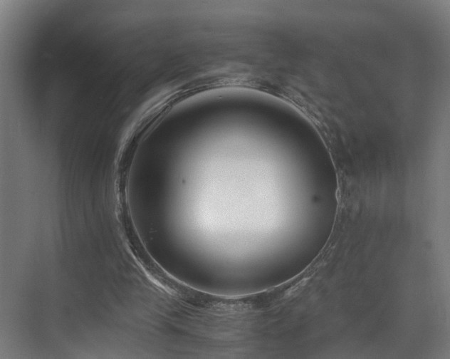 X0000075840245200609151312