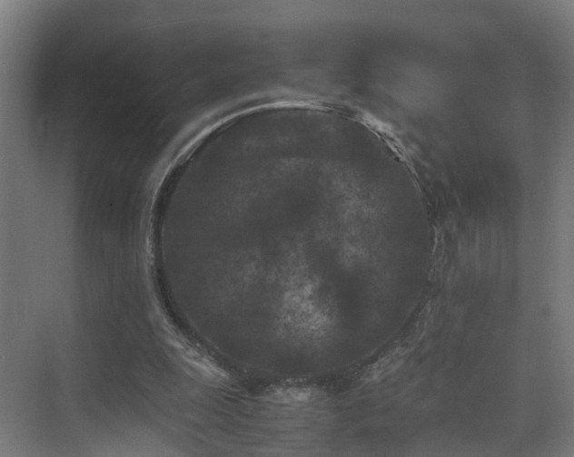 X0000075840247200609151312