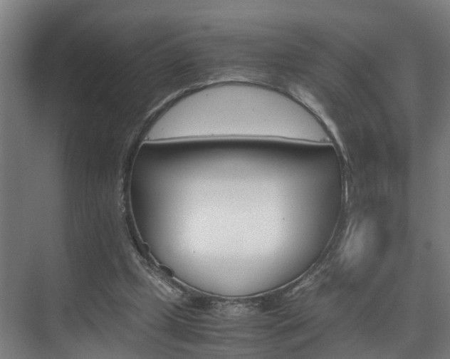 X0000075840249200609151312