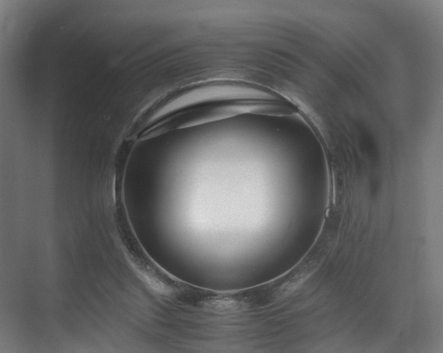 X0000075840253200609151312