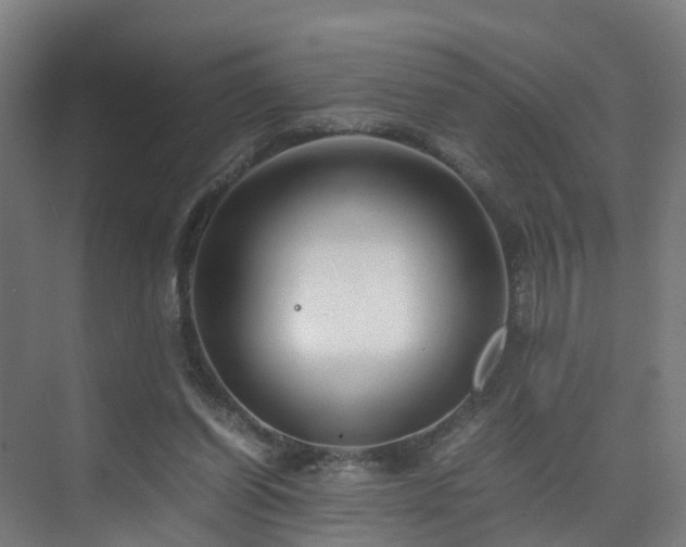 X0000075840254200609151312