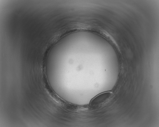 X0000075840257200609151312