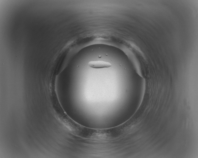 X0000075840260200609151312