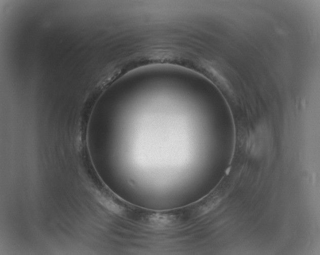 X0000075840261200609151312